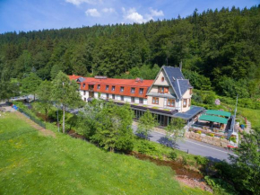Гостиница Hotel Waldmühle  Целла-Мелис